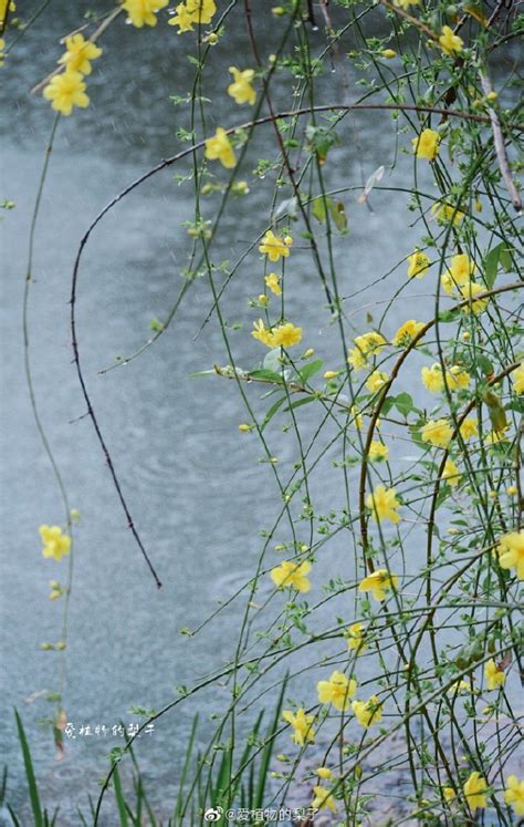 雨逢